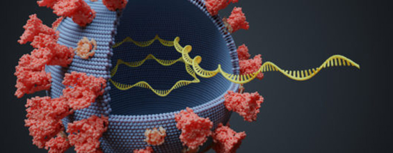 Immunology Genomics